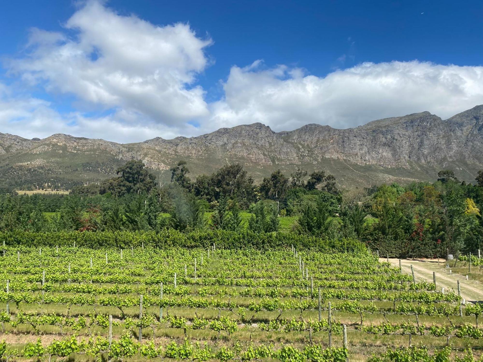 Franschhoek Rose Cottages Екстериор снимка