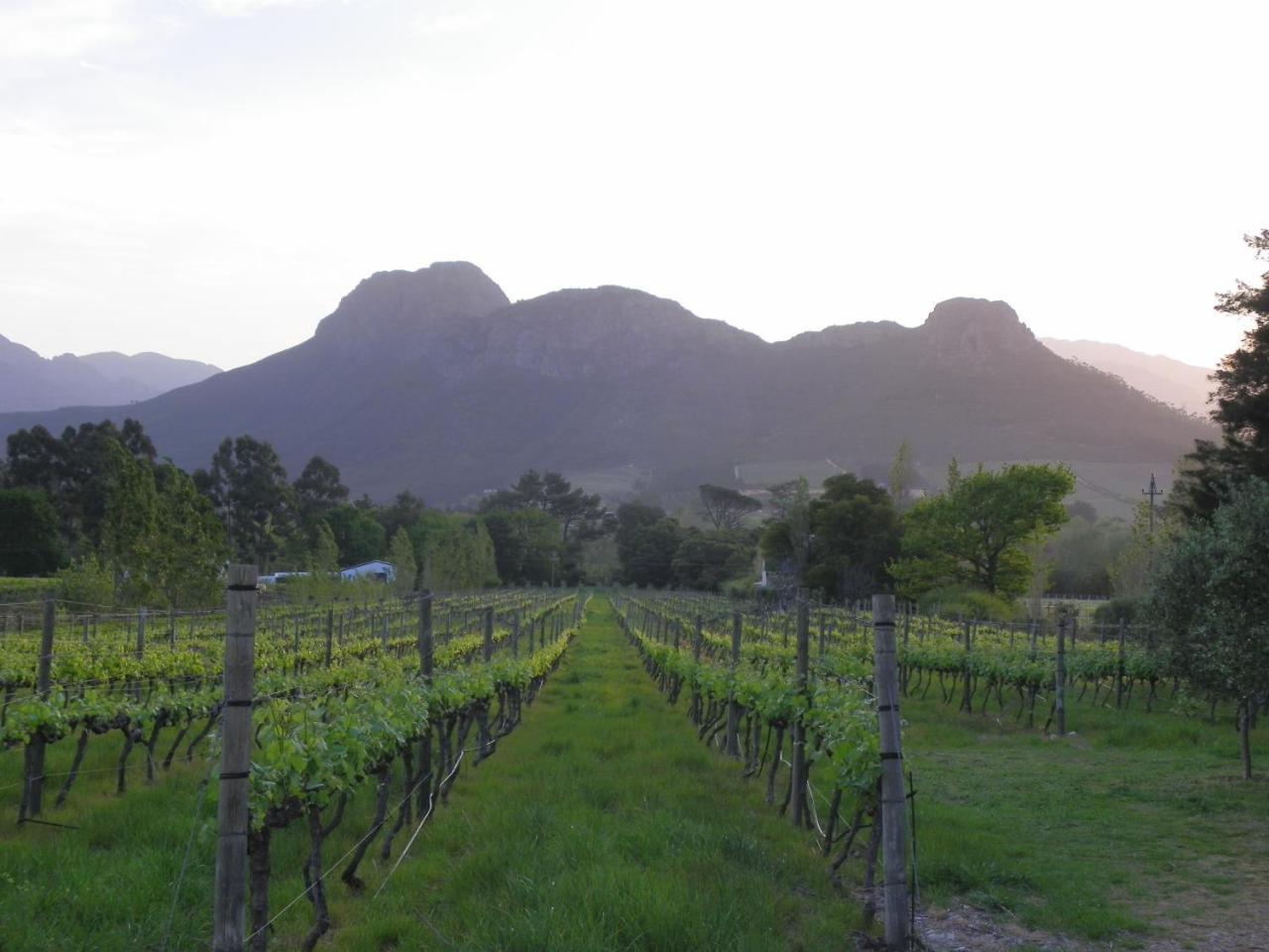Franschhoek Rose Cottages Екстериор снимка